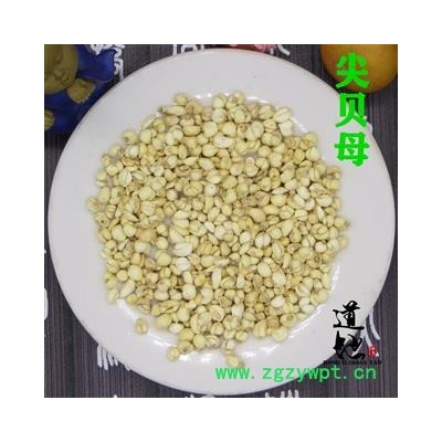 尖贝母 小 产地 浙江省