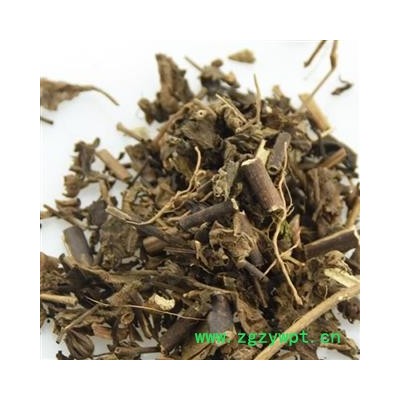 圣草康园毛麝 香毛麝 香草 凉草 凉五草辣蓟 蓝花草 辣鸡 饼草 新货