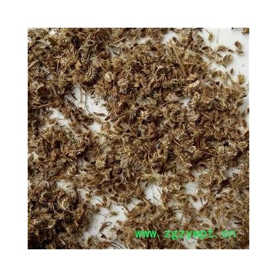 野胡萝卜子 净货 产地 河南省平顶山市汝州市