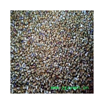 野生决明子 国产决明子选货 产地 河南省平顶山市汝州市