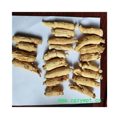 白参 大选个 人参  产地 吉林省通化市