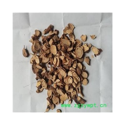 苦参 0.5-1.4统 产地 内蒙古自治区通辽市科尔沁左翼后旗