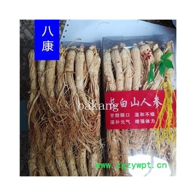人参 白全参 40支=500克 白参