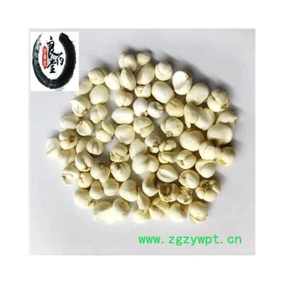 【满298元包邮】贝母 尖贝母选个 产地 浙江 1公斤一袋