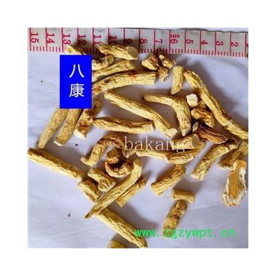 人参 段节 产地 吉林省