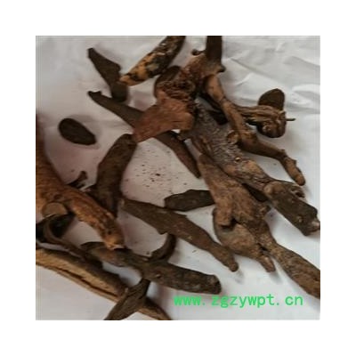 骨碎补 02汤统 产地 四川省绵阳市