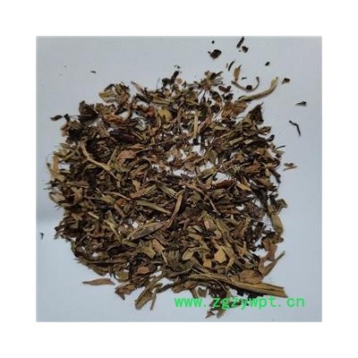 甘松 叶 产地 内蒙古自治区赤峰市