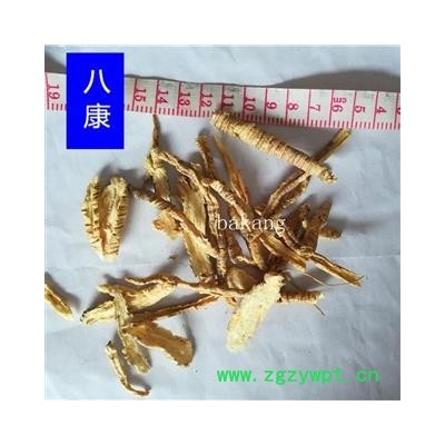 奶参 01统 山海螺 01统货