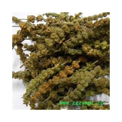 灵吉药业 荆芥穗  产地直销   批发各种规格中药材 花茶 矿石 冷背珍稀野生药材