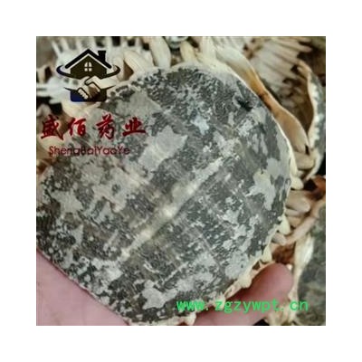 鳖甲 优质， 产地 江苏省盐城市滨海县