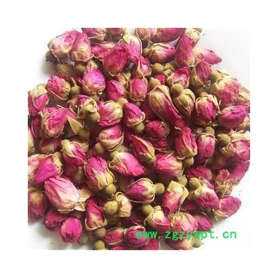 玫瑰花 山东玫瑰王 产地 山东省