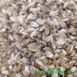 辛夷 统货 产地 河南省