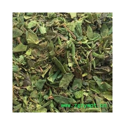 金银花叶子，机器沙青，山东平邑