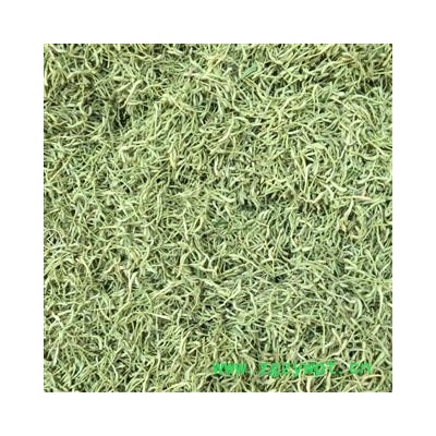 茗生春  金银花   一级货，泡茶金银花