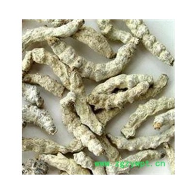 灵吉药业  僵蚕 天虫 白僵蚕 僵蚕选货 产地 广西壮族自治区