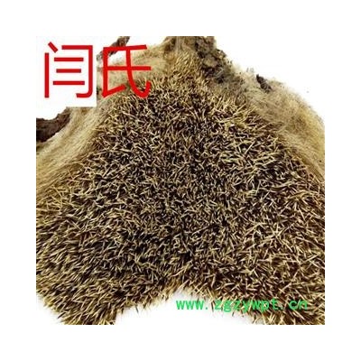 刺猬皮 生刺猬皮刺猬皮