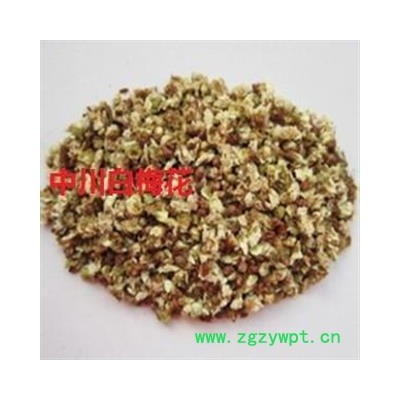 中川白梅花  产地四川  库存500可售