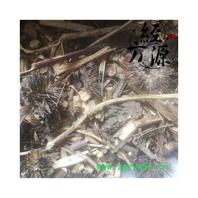 紫锥菊T 紫锥花、紫锥菊、紫松果菊 松果菊  统 产地 辽宁省