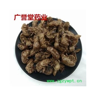 蝉蜕 蝉蜕统货 河南 产地 河南省