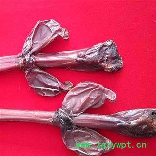 鹿鞭 长白山梅花鹿鞭，产地直销，纯正品，假一赔十