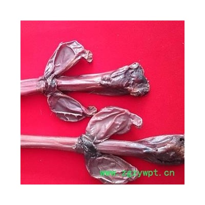 鹿鞭 长白山梅花鹿鞭，产地直销，纯正品，假一赔十