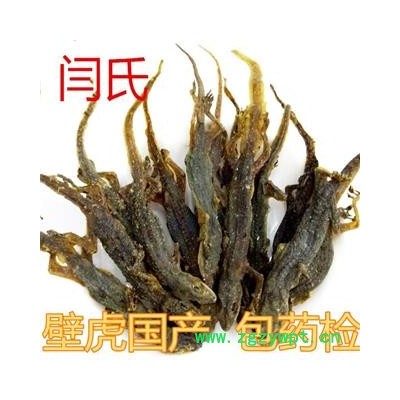 壁虎 完整个子 通货