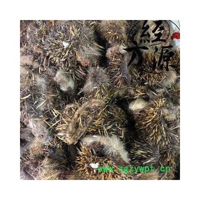 烫 刺猬皮A 猬皮 猬鼠皮 生刺猬皮 统块