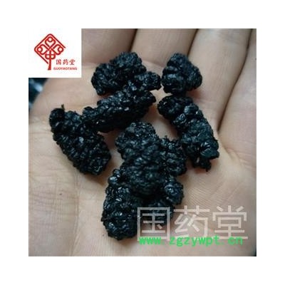 桑葚子 选 国药堂 专注品质 产地 安徽省