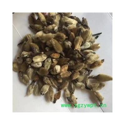 亳州花田错药业辛夷花 辛夷大桃统货   一站式够全 地道药材