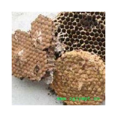 蜂房 硬蜂房统货 产地 山东省 山峰房 好统货 供应各钟中药材 冷背货 矿石等