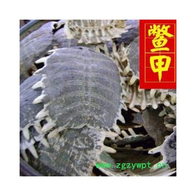 鳖甲 选 生鳖甲 干净 诚信铸就未来 供应各种中药材 产地 山东省
