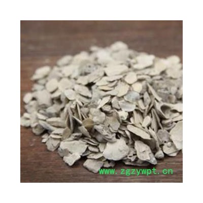 牡蛎 大统精品 产地 山东省