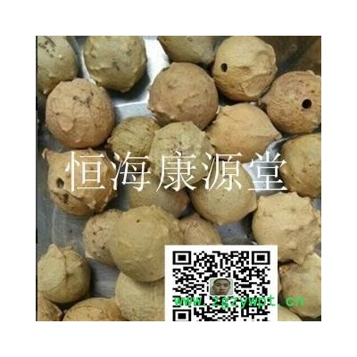 恒海康源堂没食子 统 产地 海外