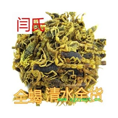 全蝎 全蝎 清水全干货
