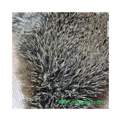 刺猬皮 统货 产地 山东省