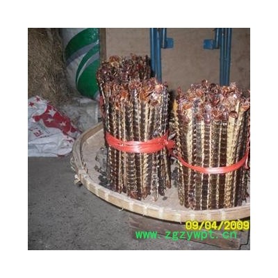 蜈蚣 大条 产地 广西壮族自治区南宁市上林县 库存 10000条可售