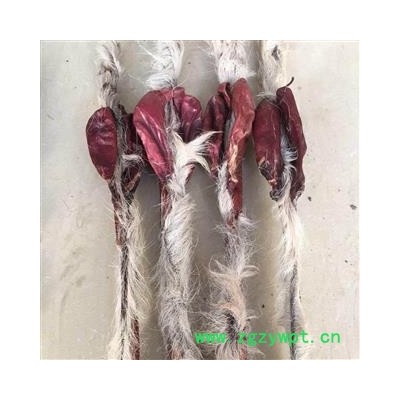 鹿鞭 鹿鞭重量150克以上鹿场直供 产地 吉林省白山市抚松县