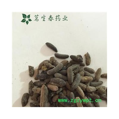 亳州花田错药业一支持打粉，五灵脂 五灵脂米 物美价廉  不满意包退