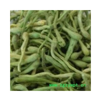 灵吉药业 金银花 双花 二花 优质地道货源  批发各类规格中药材 花茶 矿石