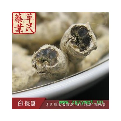 草民甄选白僵蚕 虫体饱满 玻璃茬 不掺假 正品天虫 专业批发 量大从优