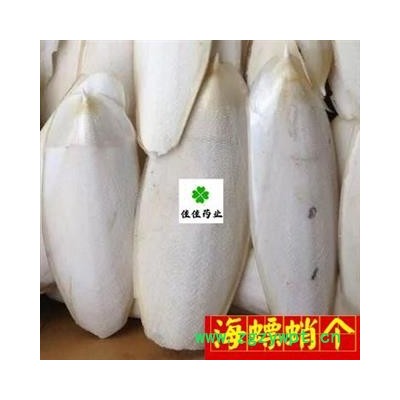 海螵蛸 选20-30公分 海螵蛸大个 产地 山东省