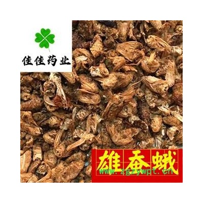 雄蚕蛾 雄蚕蛾好统货 批发各类中药材 冷背货 矿石等 产地 云南省