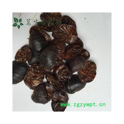 亳州花田错药业一支持打粉，土鳖虫 物美价廉  不满意包退