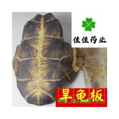 龟甲 龟板 汉龟板 旱龟板 正品 选 产地 湖北省