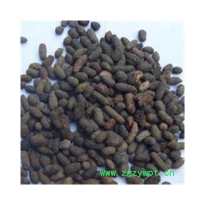 五灵脂 选 干净 产地 山西省吕梁市