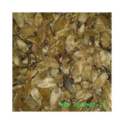 辛夷花 统 产地 河南省平顶山市汝州市