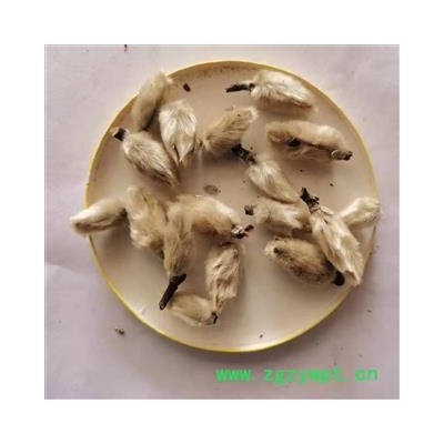 辛夷花 辛夷大桃统货 产地 安徽省