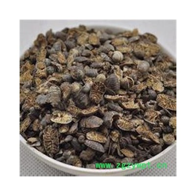 鼠妇虫 清水   产地 安徽  亳州【隆兴中药材】