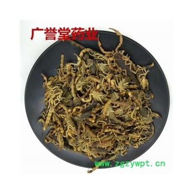 蝎子  全蝎 七成干 产地山西省阳泉市城区