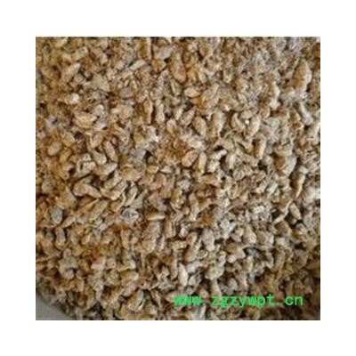 原蚕蛾 统 产地 湖北省十堰市竹溪县（东